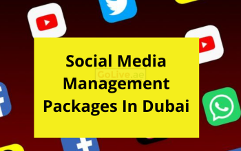 Do You Want The Social Media Management Packages In Dubai?