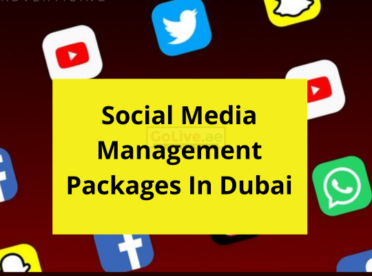 Do You Want The Social Media Management Packages In Dubai?