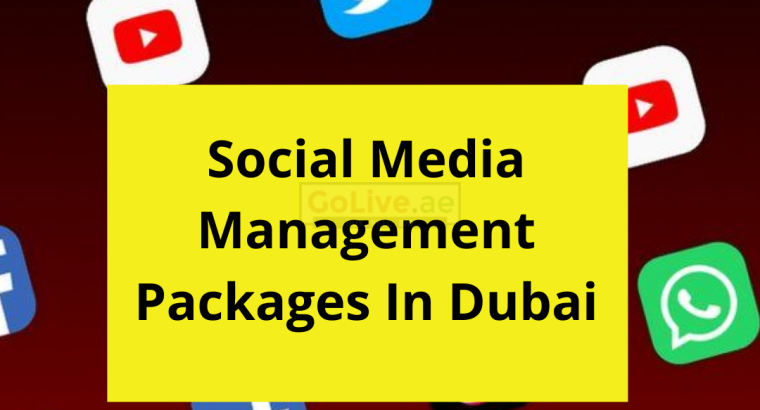 Do You Want The Social Media Management Packages In Dubai?
