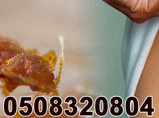Low Cost Pest Control Al-Karama