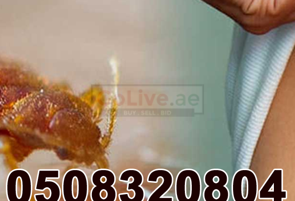 Low Cost Pest Control Al-Karama