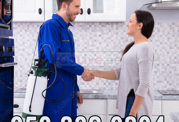 Low Cost Pest Control Al-Karama