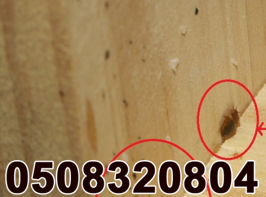 Low Cost Pest Control Al-Karama
