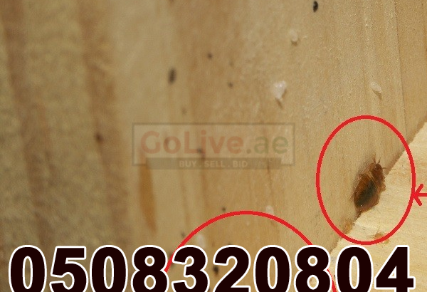 Low Cost Pest Control Al-Karama