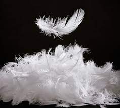 Feathers Pillow in UAE ( Feathers in Dubai, Feathers Supplier in UAE )
