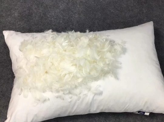 Feathers Supplier in UAE ( Feathers in Dubai Al Qouz, Feathers Supplier in UAE )