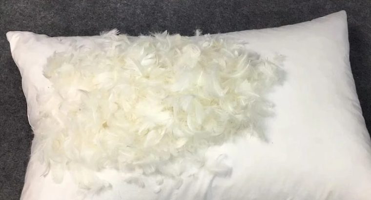 Feathers Supplier in UAE ( Feathers in Dubai Al Qouz, Feathers Supplier in UAE )