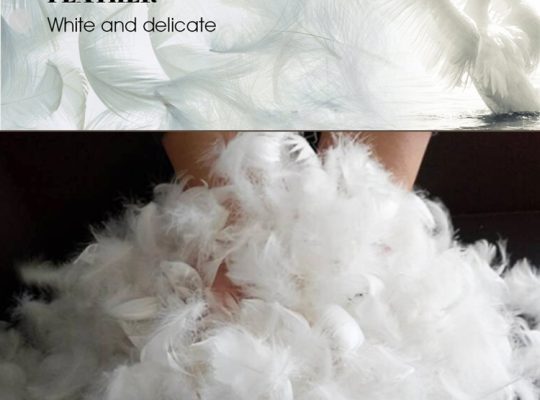 Feathers Down in UAE ( Feathers in Dubai, Feathers Supplier in UAE )