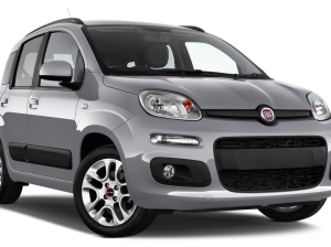 Used Fiat Punto Car buyer in Dubai ( Best Used Fiat Punto Car Buying Company Dubai, UAE )