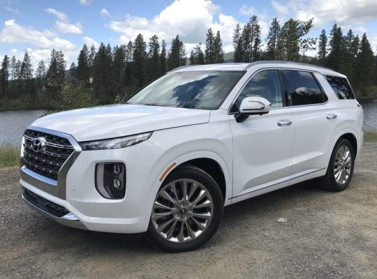 Used Hyundai Palisade Car buyer in Dubai ( Best Used Hyundai Palisade Car Buying Company Dubai, UAE )
