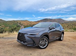 Used Lexus NX 450H Car buyer in Dubai( Best Used Lexus NX 450H Car Buying Company Dubai, UAE )