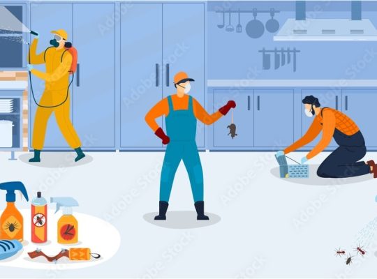 Low Cost Pest Control Services Al Barsha