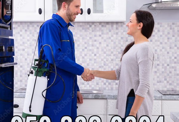 Low Cost Pest Control Services Al Barsha