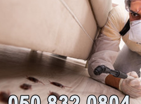 Low Cost Pest Control Services Al Barsha