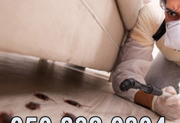 Low Cost Pest Control Services Al Barsha