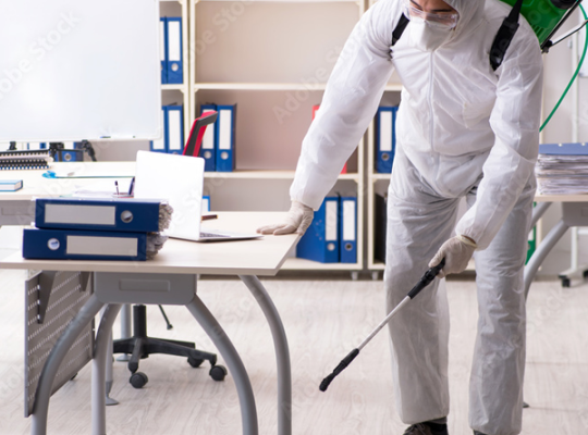Low Cost Pest Control Services Al Barsha