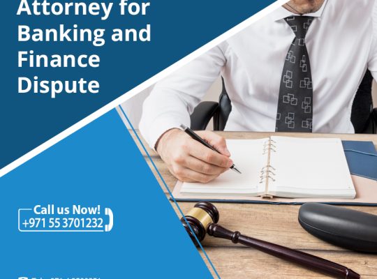 Bankruptcy and Liquidation – Get Free Consultation