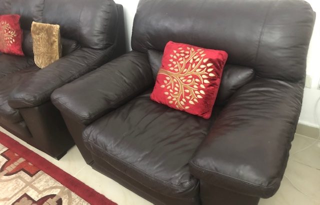3+2+1 ORIGINAL LEATHER SOFA WITH 6 PILLOWS AND CARPET