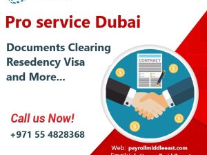 PRO Services in Dubai UAE