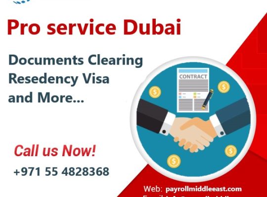 PRO Services in Dubai UAE