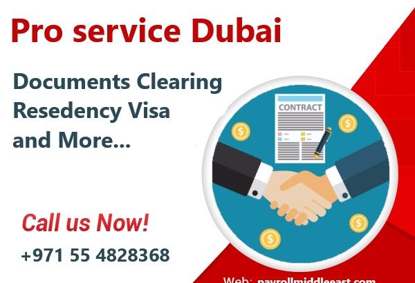 PRO Services in Dubai UAE