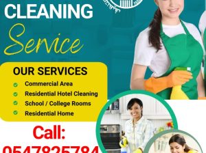 Paradise Cleaning Services House Cleaning Maids Dubai Sharjah Ajman