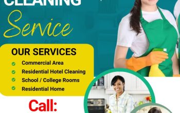 Paradise Cleaning Services House Cleaning Maids Dubai Sharjah Ajman