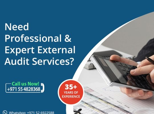External Audit Services – Auditors in Dubai