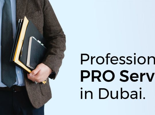 pro services companies in Ajman