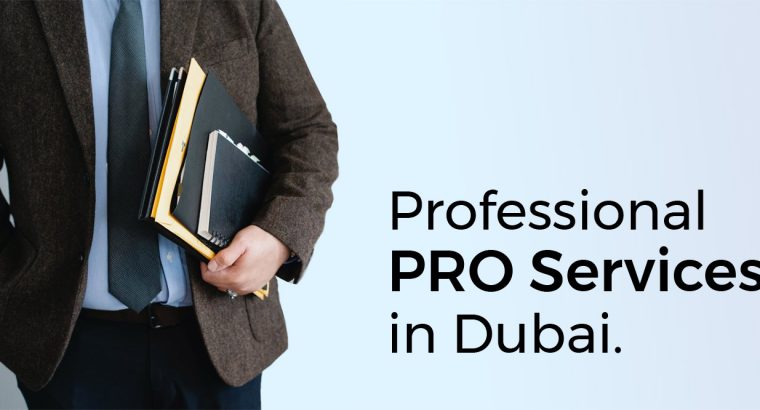 pro services companies in Ajman