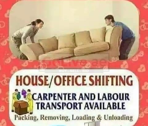 The Green Movers And Packers Services  Dubai All Over Uae