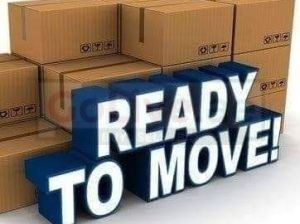 The Green Movers And Packers Services  Dubai All Over Uae