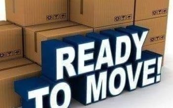 The Green Movers And Packers Services  Dubai All Over Uae