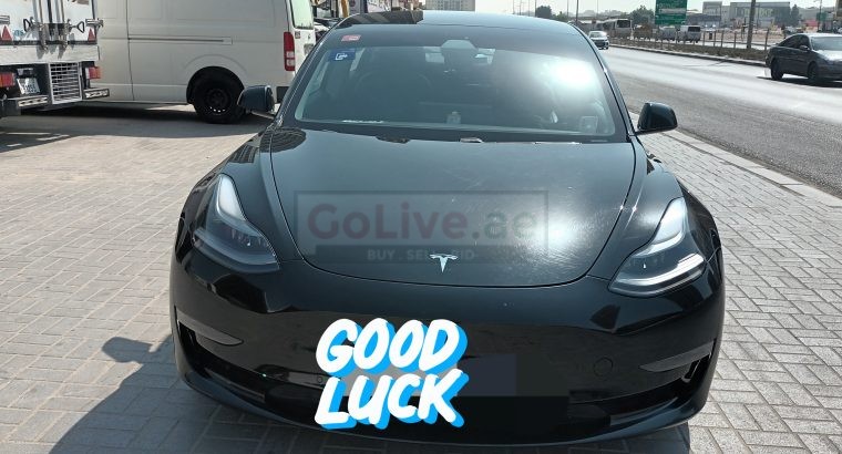 Luxury Tesla Car Lift