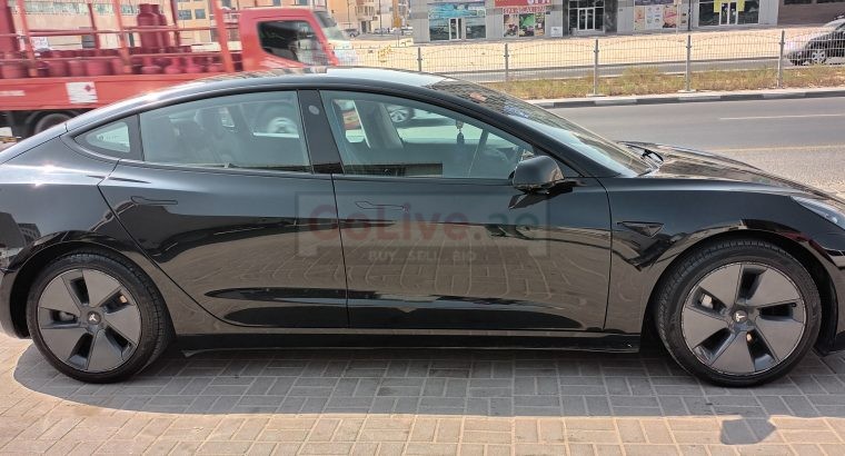 Luxury Tesla Car Lift