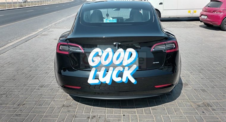 Luxury Tesla Car Lift