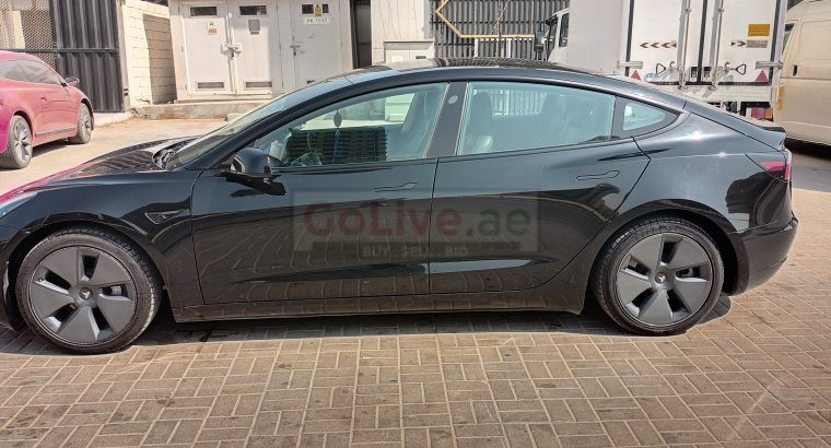 Luxury Tesla Car Lift