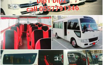 Carlift Service Karama Bur Dubai al Barsha 1,2,3 To Dip1 Dip2