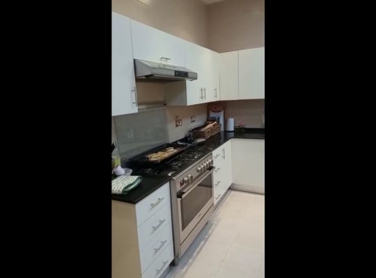 Professional Carpenter Service in Dubai