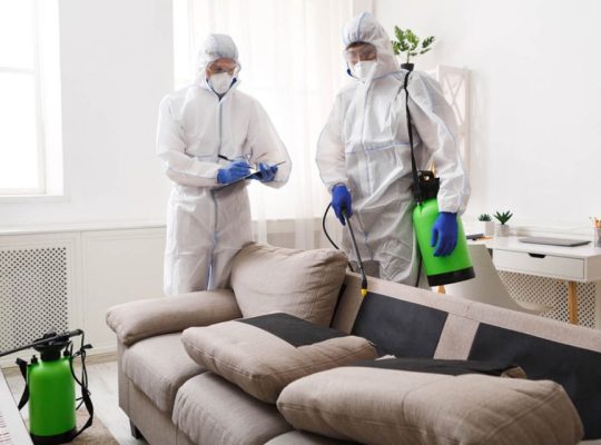 Pest Control JVC- Jumeirah Village Circle