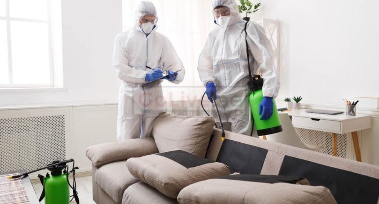 Pest Control JVC- Jumeirah Village Circle