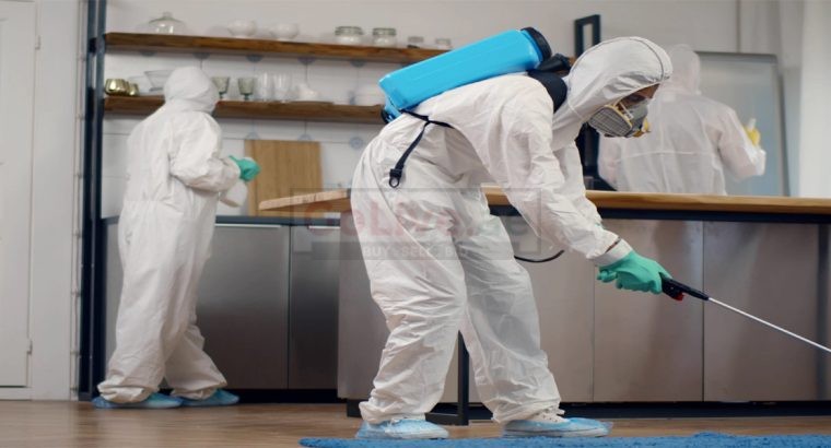 Pest Control Sport City – Get 20% Discount