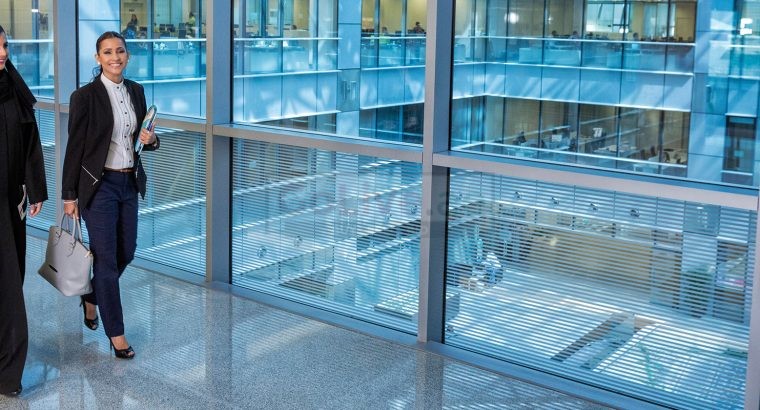 Are you searching for business setup in Dubai?