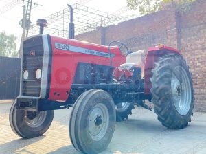 Massey Ferguson 290 Two Wheel Drive Tractor For Sale in Brand New Condition