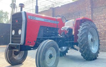 Massey Ferguson 290 Two Wheel Drive Tractor For Sale in Brand New Condition