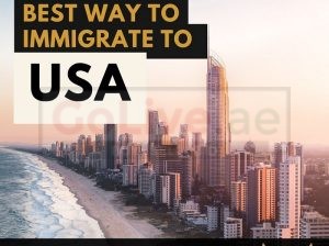 Find the Best Immigration Consultants for Move to USA