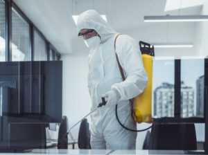 Pest Control Silicon – Get Expert Now