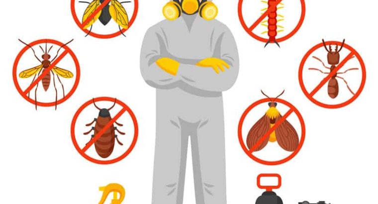 Pest Control Silicon – Get Expert Now
