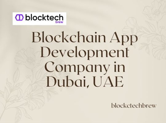 Top Most Blockchain App Development Company