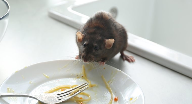 # Pest Control Treatment – Top 10 Listed Company